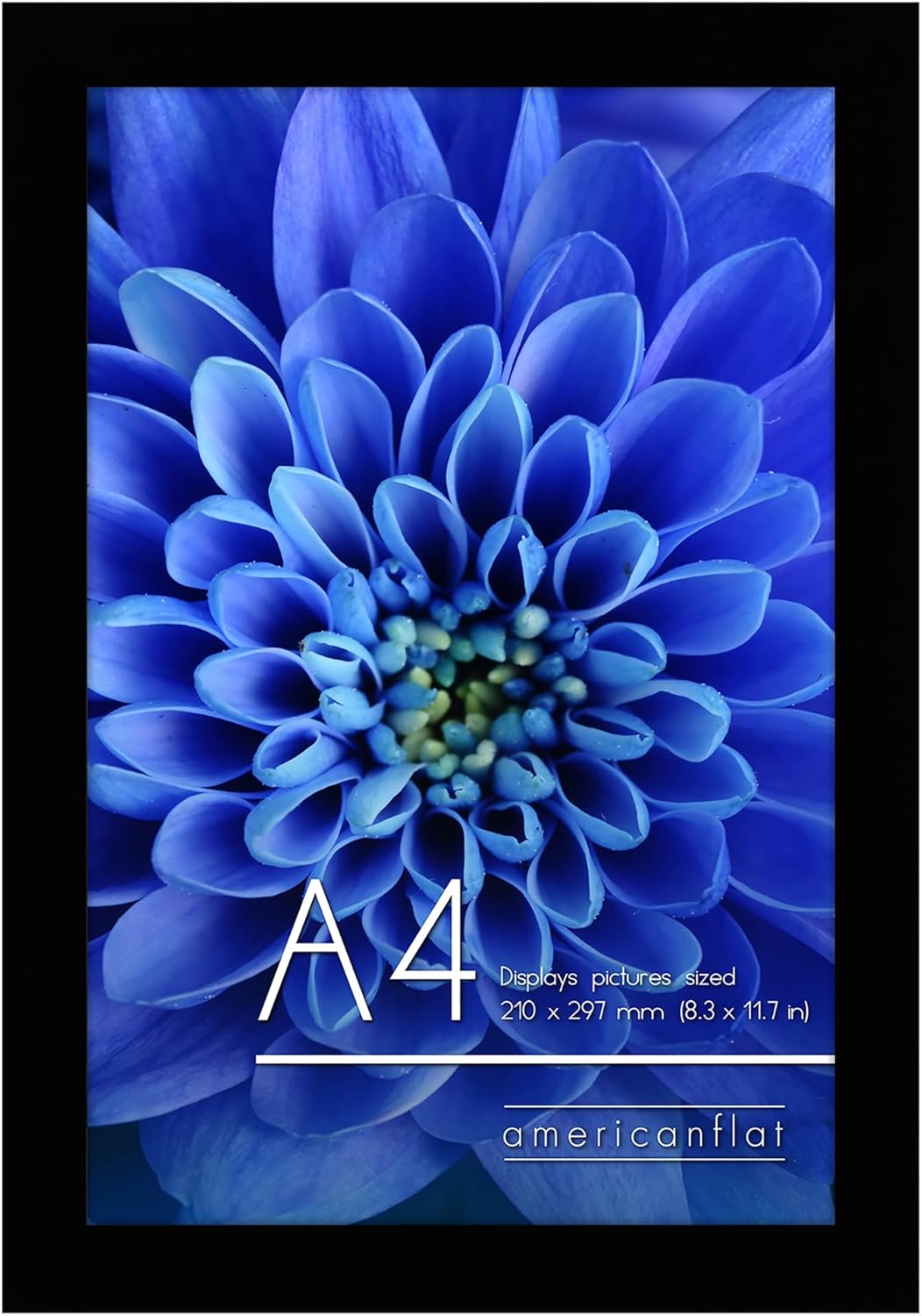 A4 Picture Frame in Black