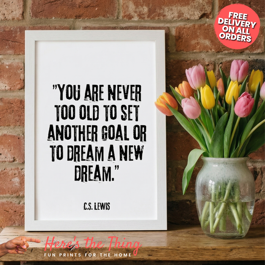 Dream a New Dream