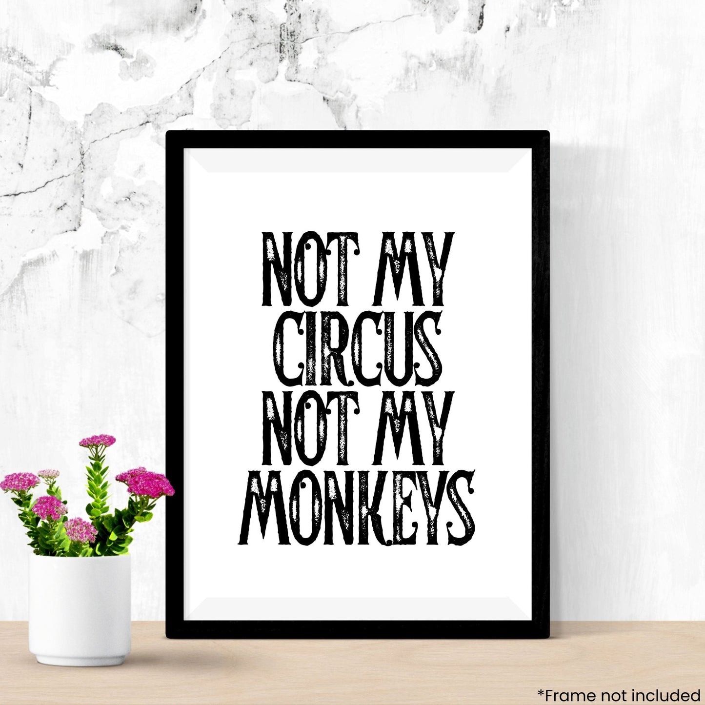 not-my-circus in frame