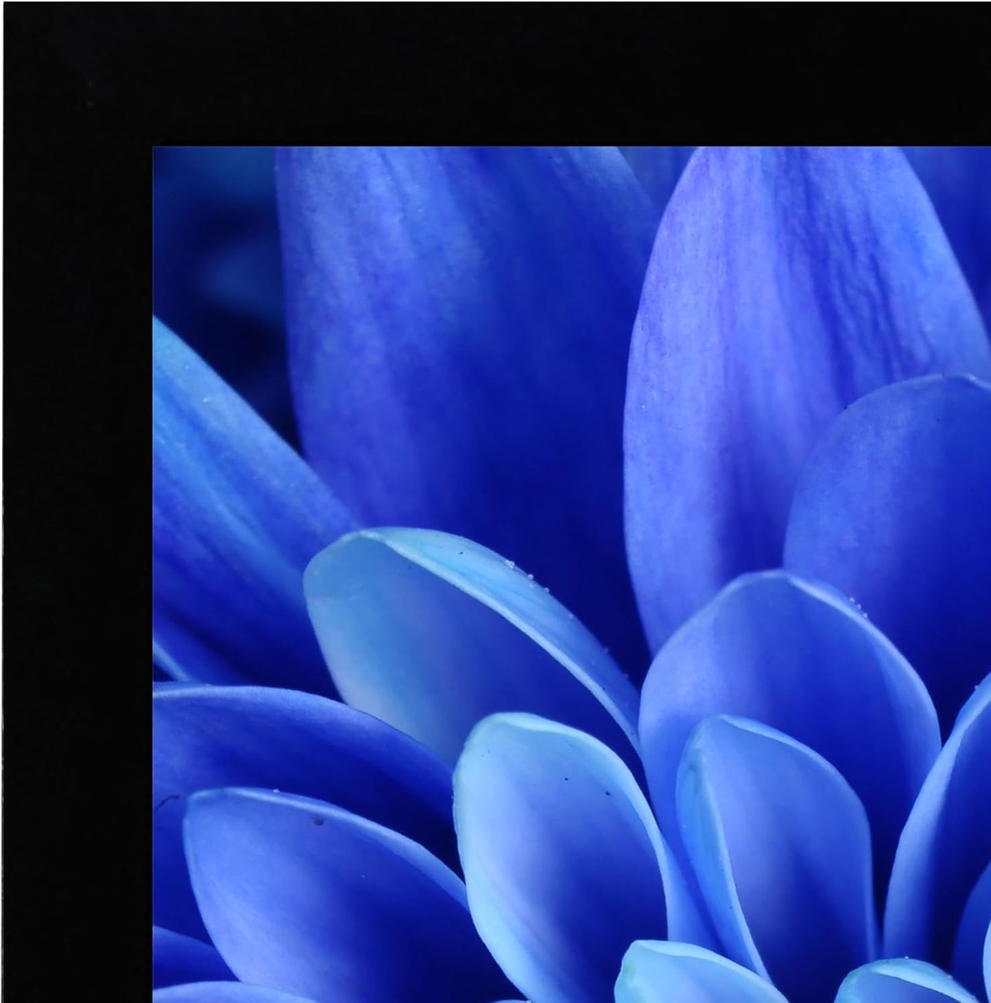 A4 Picture Frame in Black