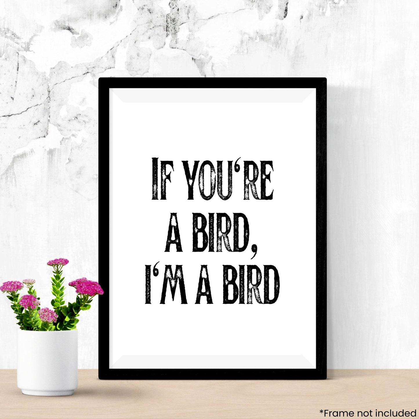 im-a-bird in frame