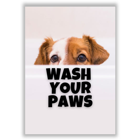 Wash Your Paws