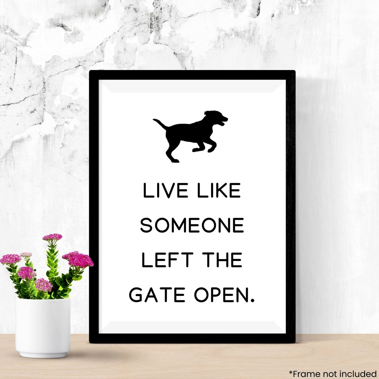 live-like-someone-left-the-gate-open in frame