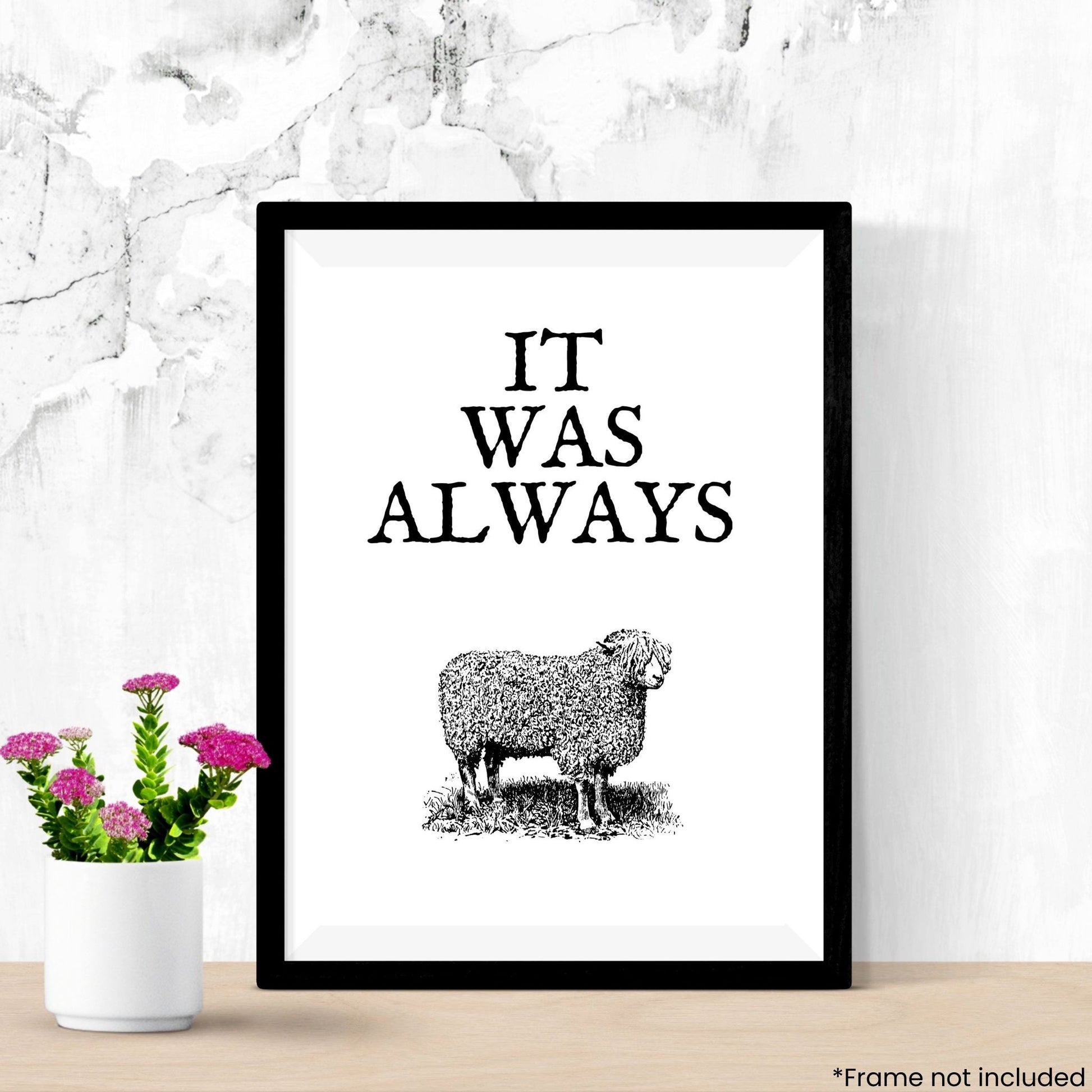 it-was-always-ewe in frame