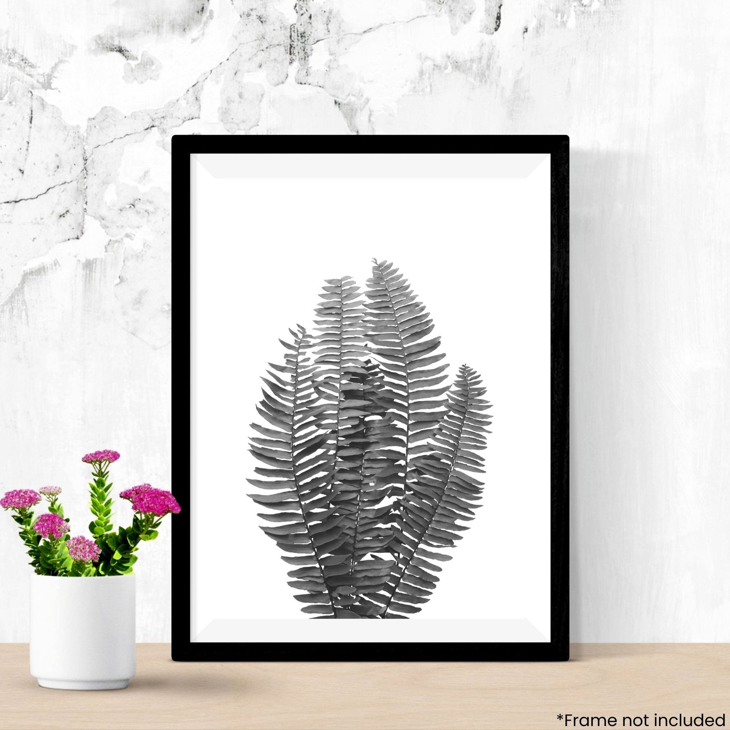 black-and-white-ferns in frame