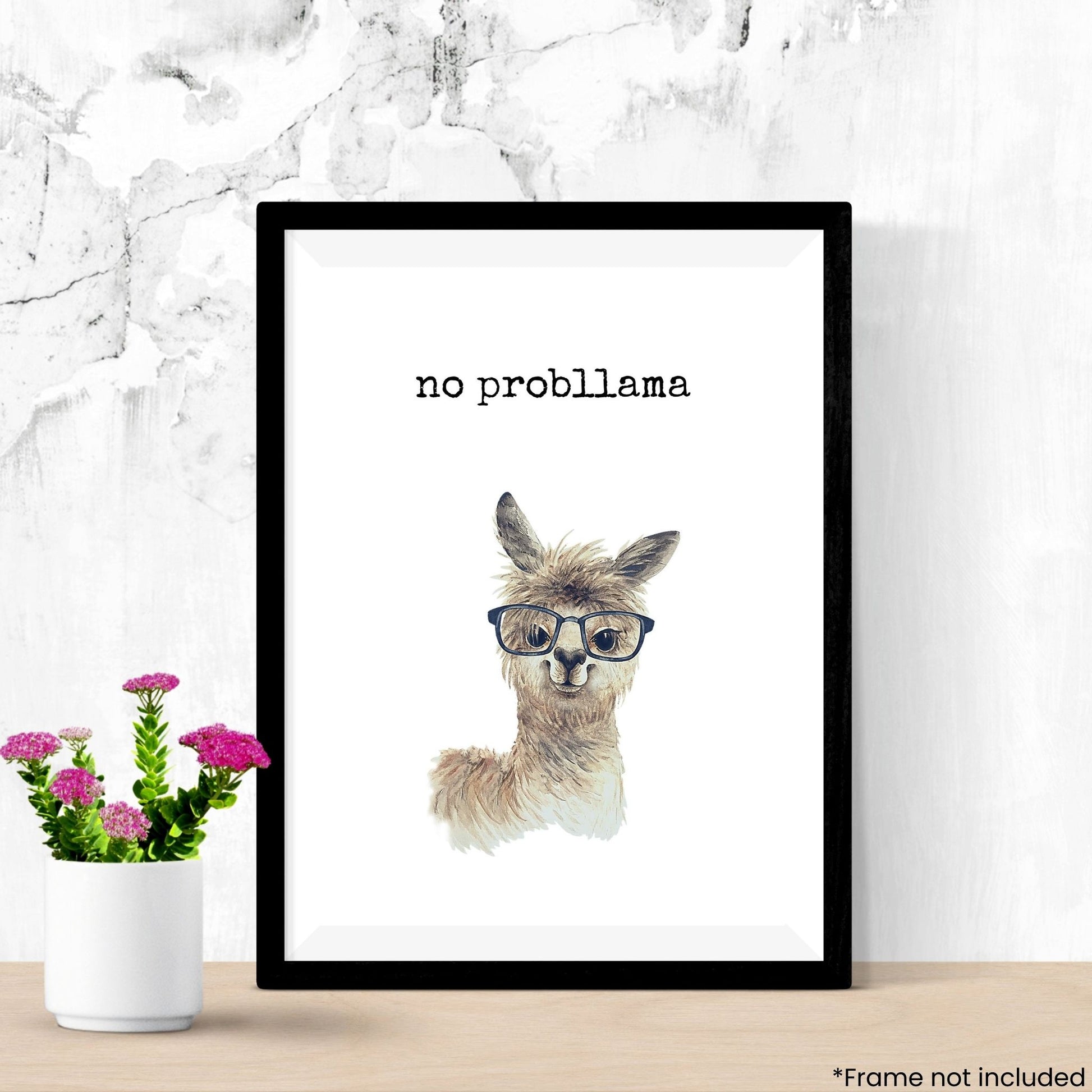 no-probllama in frame