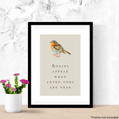 robins-appear in frame