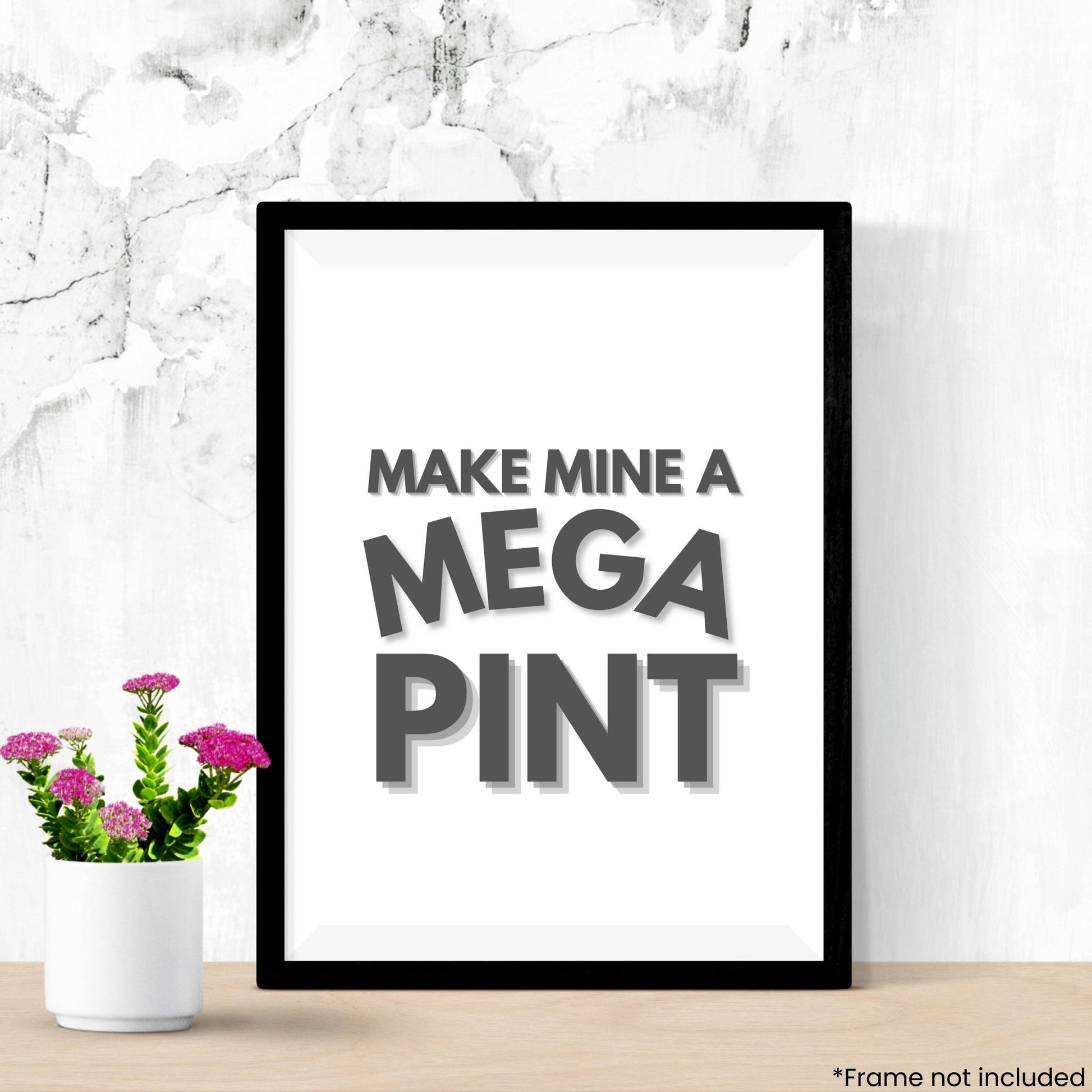 mega-pint in frame