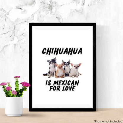chihuahua-is-mexican-for-love in frame