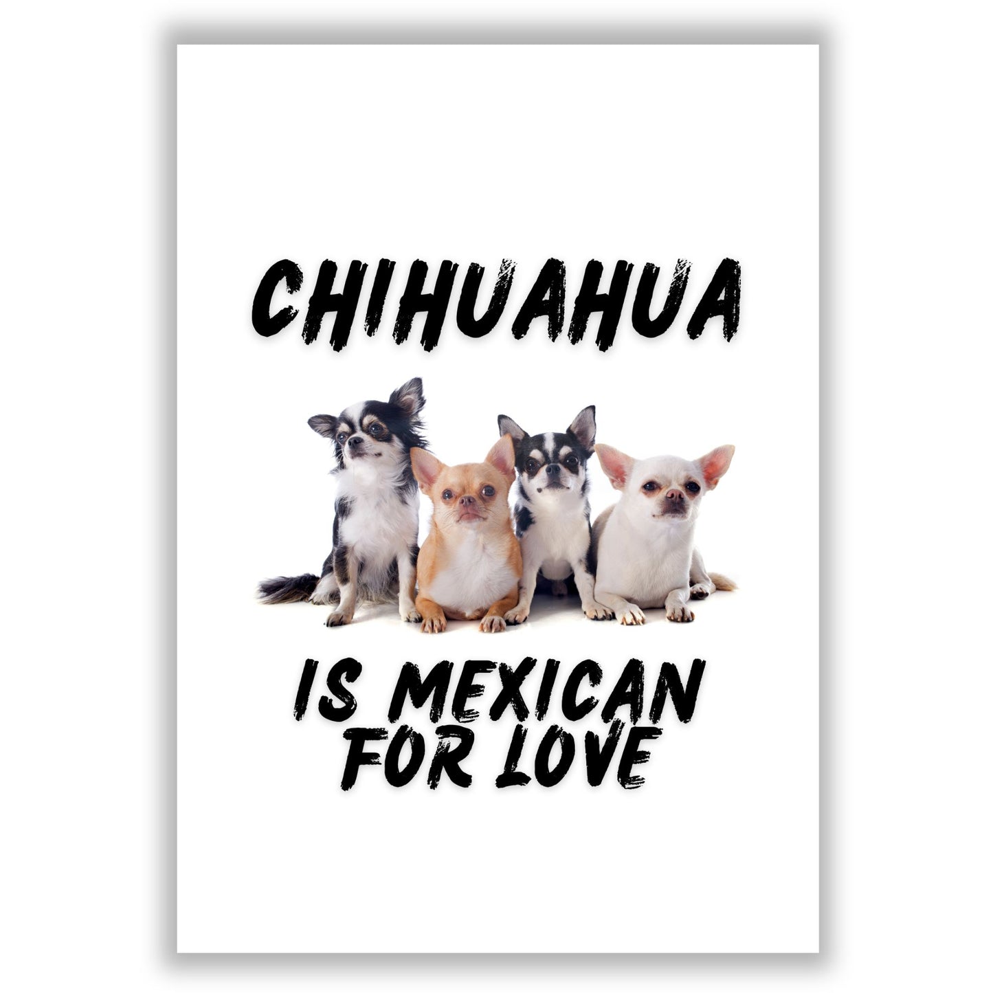 chihuahua-is-mexican-for-love print
