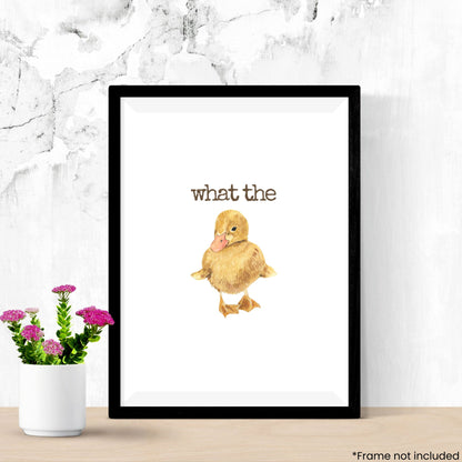 what-the-duck in frame