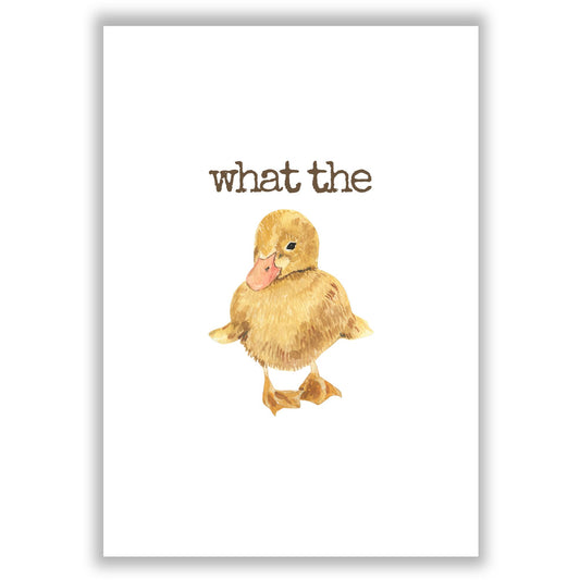 what-the-duck print